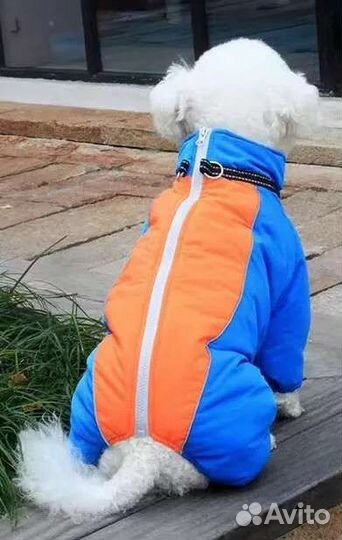 Одежда для Больших и маленьких собак кобелей