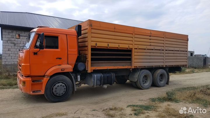 КамАЗ 65115, 2010