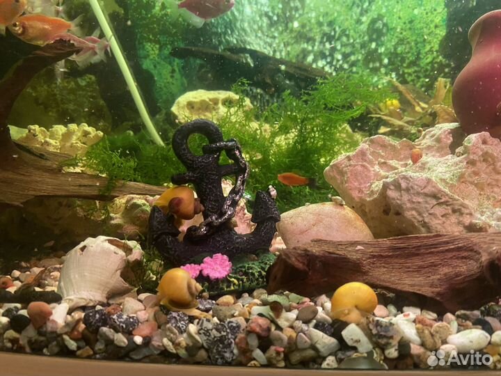 Аквариум со всем оборудованием вроде 200л