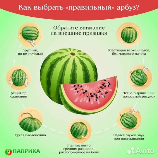 Ранний Арбуз оптом с поля каристан, асман