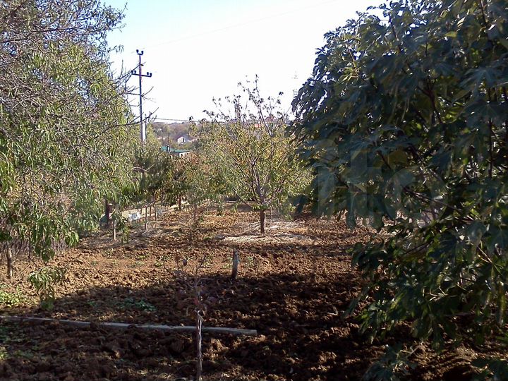 Участок 10 сот. (СНТ, ДНП)