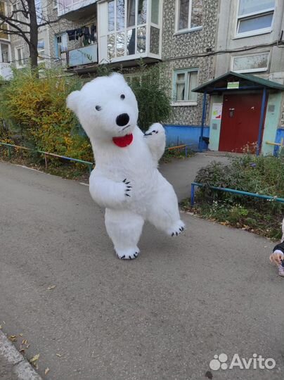 Поздравление от Пушистого Мишки Bear Show