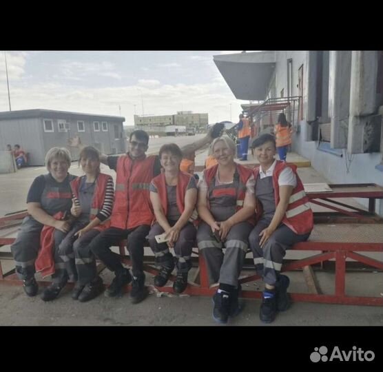 Упакрвщики в Москву с проживанием