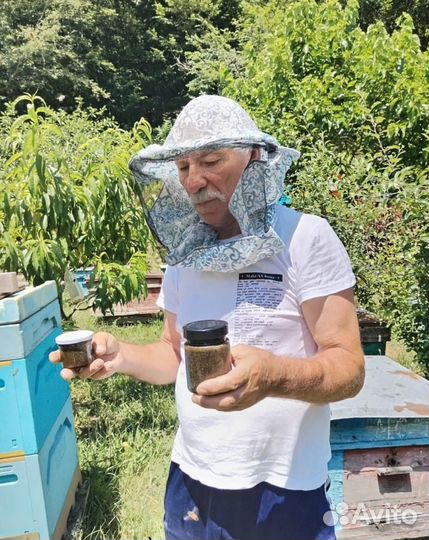 Противо паразитарный противогрибковый мед