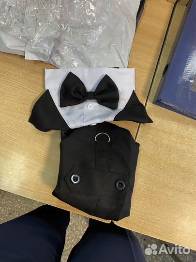 Костюм для собаки