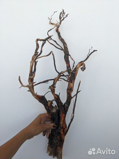 Коряги для интерьера