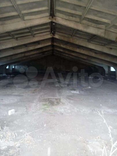 Здание, 1500 м²