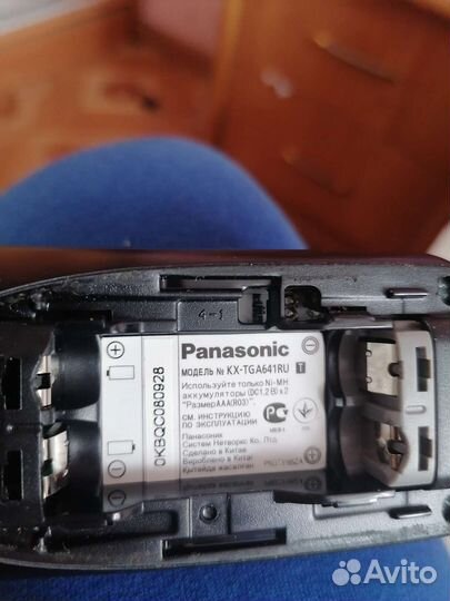 Panasonic