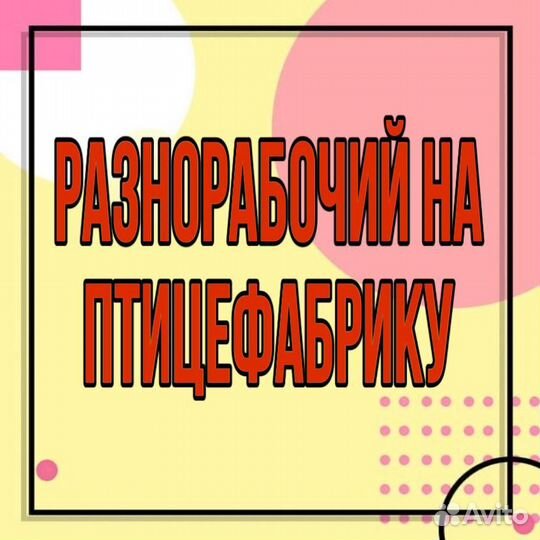 Разнорабочий на птицефабрику(еженедельные выплаты)