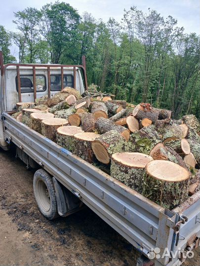 Дрова дубовые