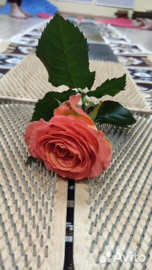 Гвоздестояние динамические медитации