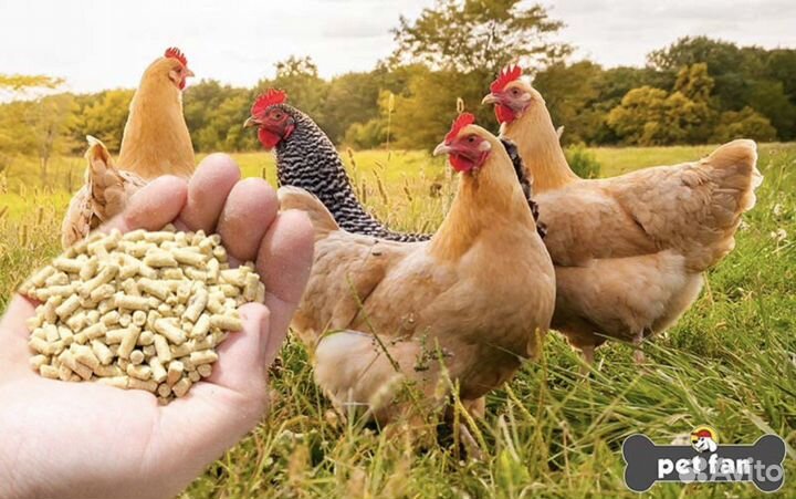 Комбикорм для птиц - старт рост финиш