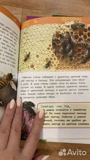 Детская энциклопедия