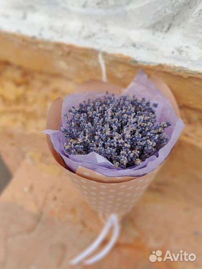 Букет из лаванды, сухоцветы