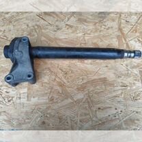 ⭐︎ 無料]9/4(木)大井競馬新聞～ゴールドジュニア～｜園田＆姫路競馬