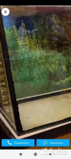 Аквариум 500