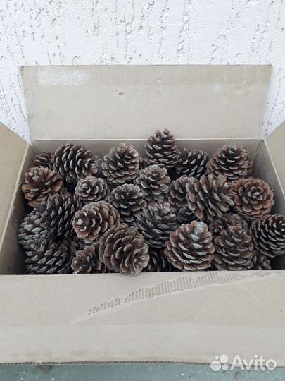 Набор для творчества