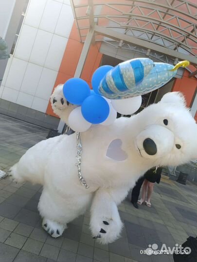 Аниматоры на день рождения мишка