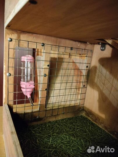 Клетка-стеллаж для грызунов