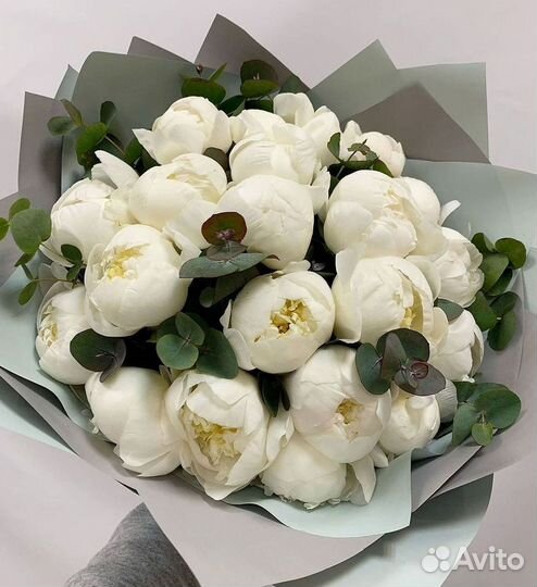 Пионы Букет пионов