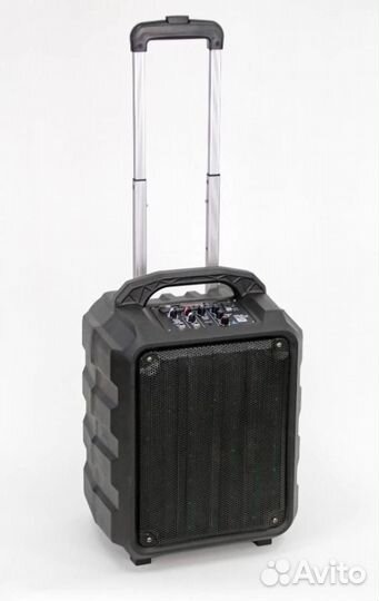 Акустическая система Leem PR-6