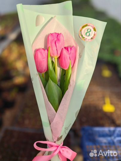 Тюльпаны букет розница