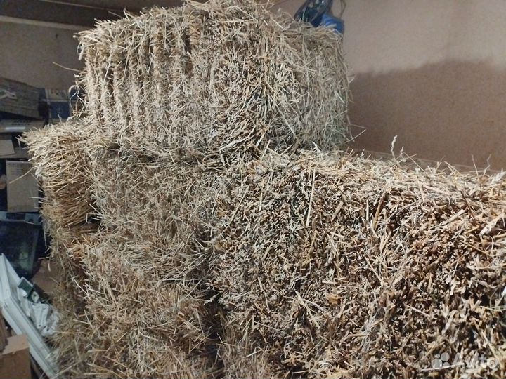 Сено солома в тюках