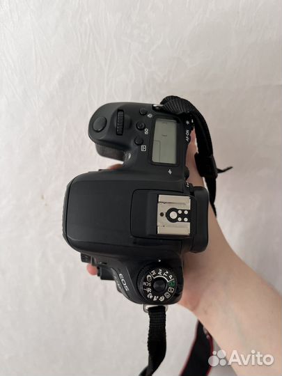 Canon eos 77d body