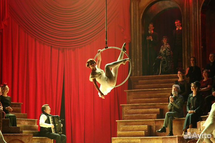 Мюзикл Принцесса цирка Билеты 1/2