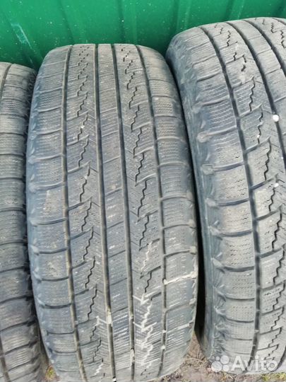 Nexen Winguard Ice 205/60 R16