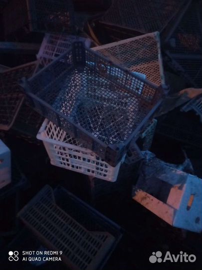 Пластиковые ящики бу от фруктов