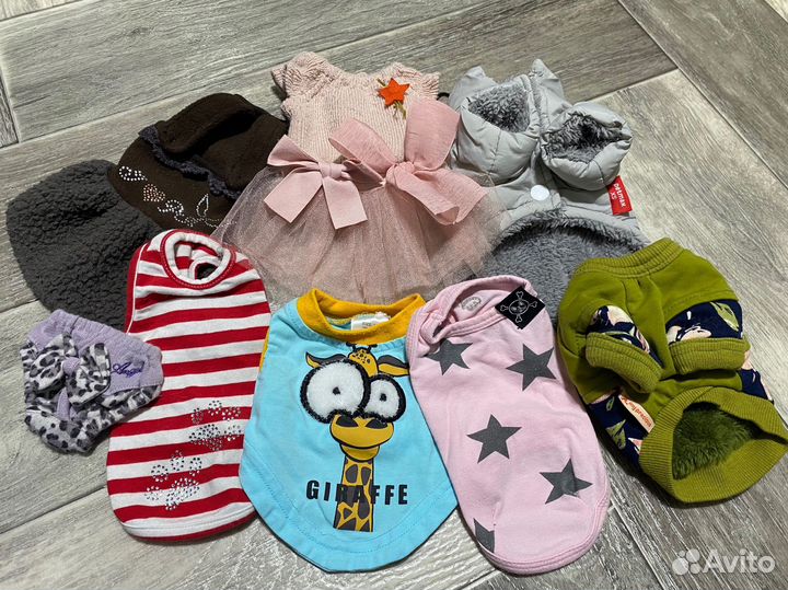 Одежда для мелкой собаки xs