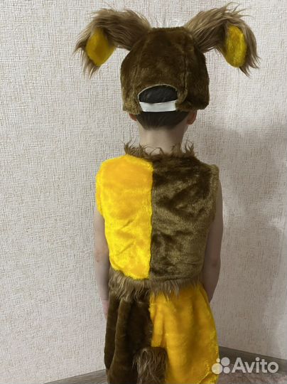 Костюм собаки