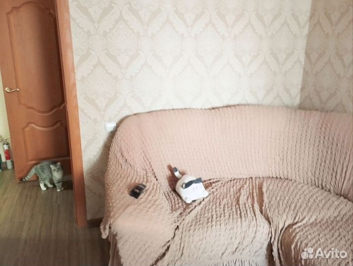 Большой Угловой диван бу