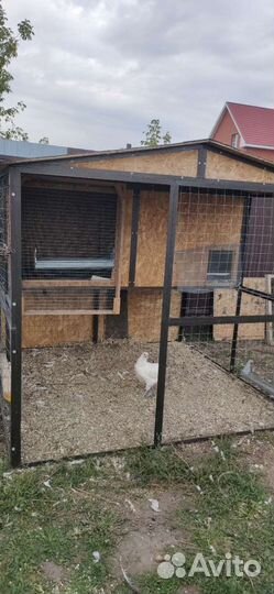 Дом для кур
