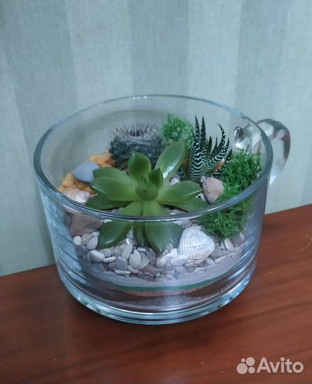 Флорариум - мини-садик