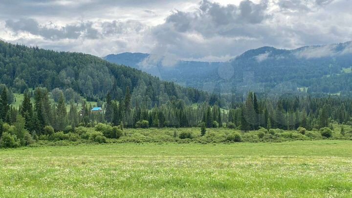 Участок 8,4 га (ИЖС)