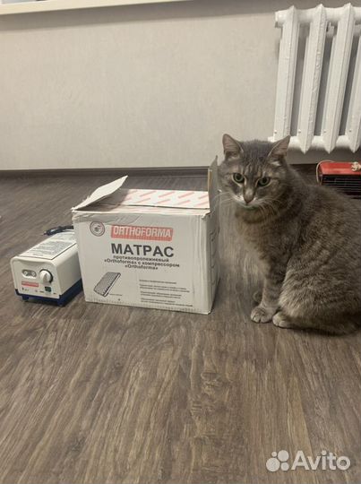 Противопролежневый матрас orthoforma