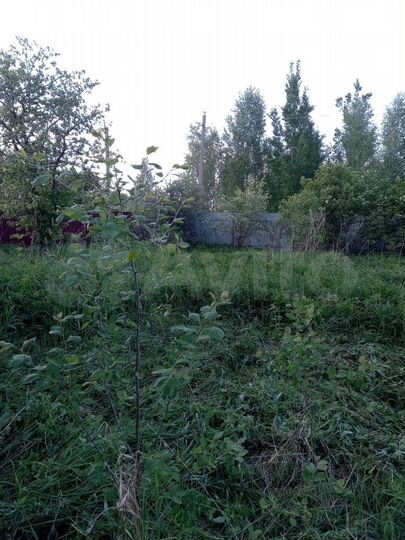 Участок 20 сот. (СНТ, ДНП)