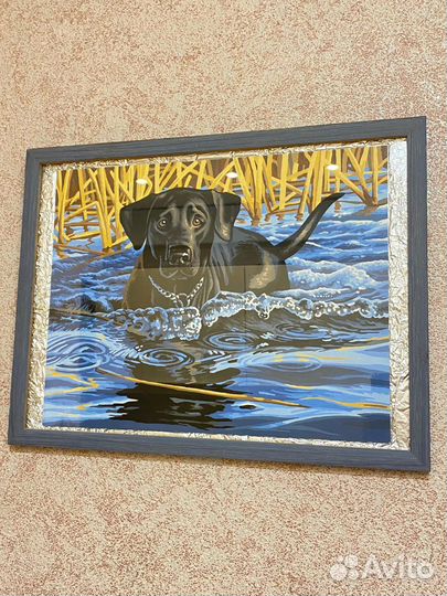 Картина интерьерная акрил лабрадор
