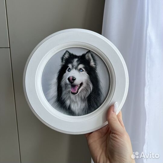 Картина Собака Хаски