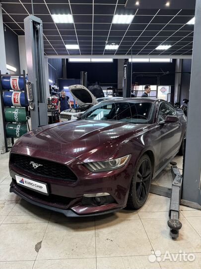 Чип тюнинг Ford Mustang 4.6 GT V8 V 319 лс