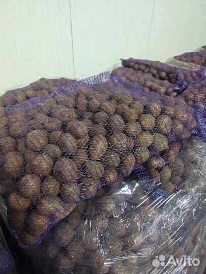 Картошка оптом