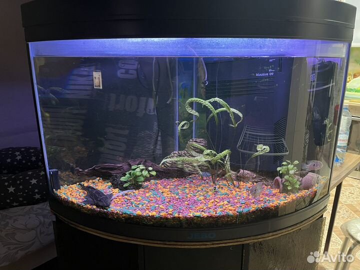 Аквариум