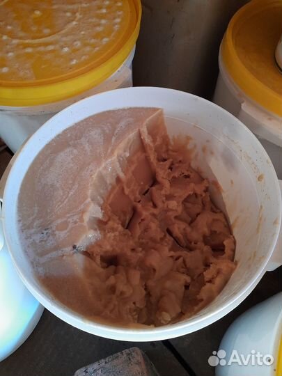 2023г Гречишный Мёд из Национального Парка