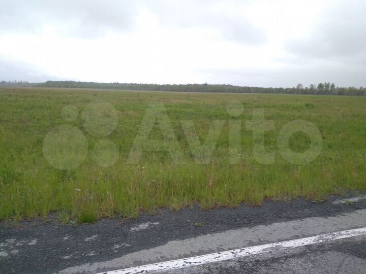 Участок 67 га (СНТ, ДНП)