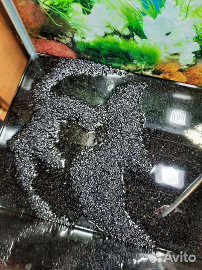 Грунт для аквариума. Грот