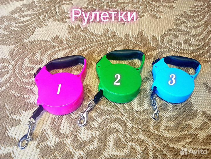 Амуниция для собак