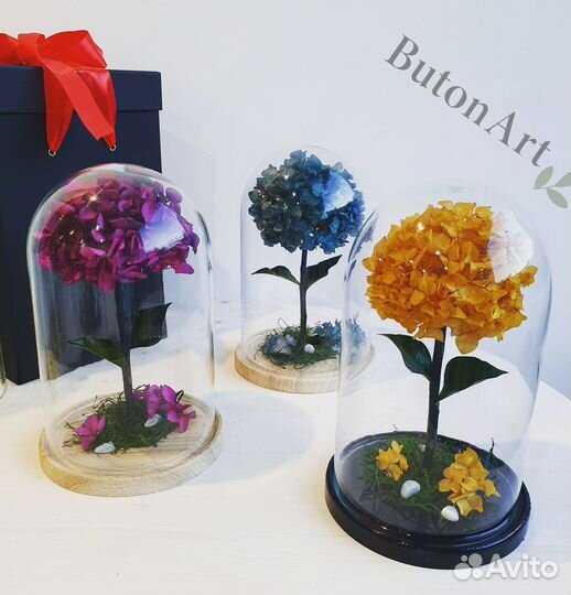 Стабилизированная гортензия