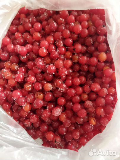 Ягоды калины замороженные